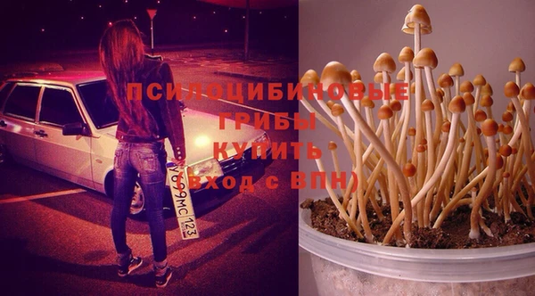 марки lsd Новозыбков