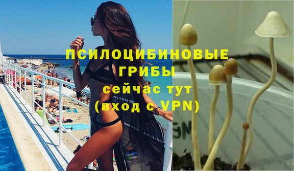 марки lsd Новозыбков