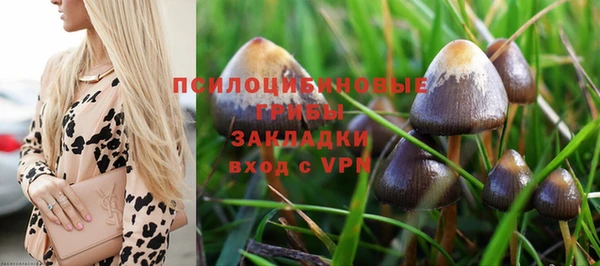 PSILOCYBIN Новодвинск