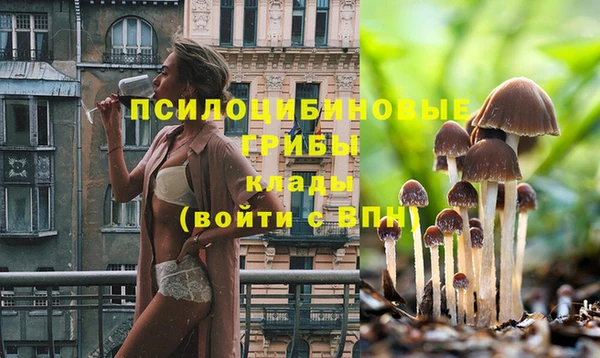 марки lsd Новозыбков