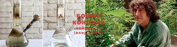 PSILOCYBIN Новодвинск