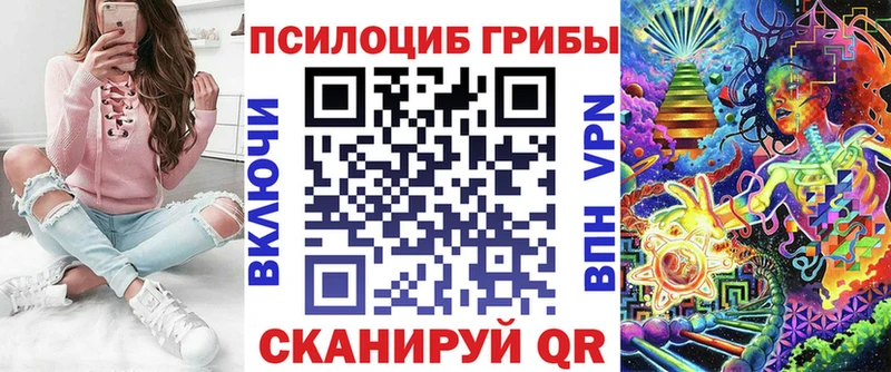 закладки  Пудож  Псилоцибиновые грибы Magic Shrooms 